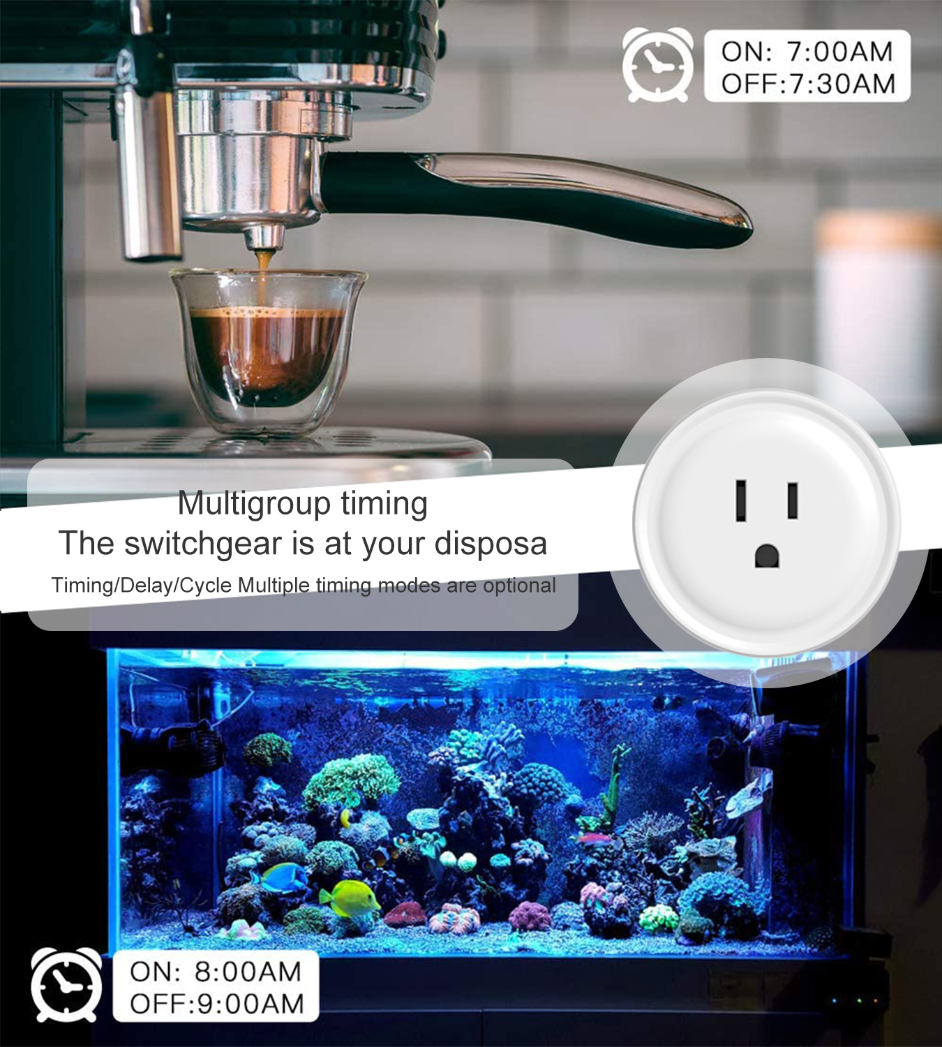 Tuya WiFi US Round 10A Smart P - Smart Home Voice Control บทวิจารณ์และราคา