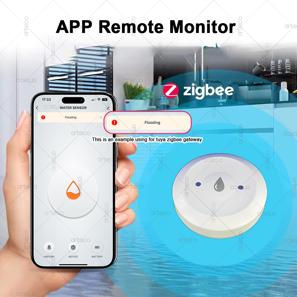 Smart Zigbee Water Sensor Floo - Smart Home Zigbee Gateway บทวิจารณ์และราคา
