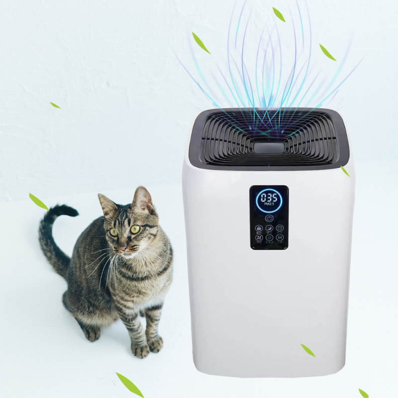 Flexible for Use in Hospital G - Smart Home Room บทวิจารณ์และราคา