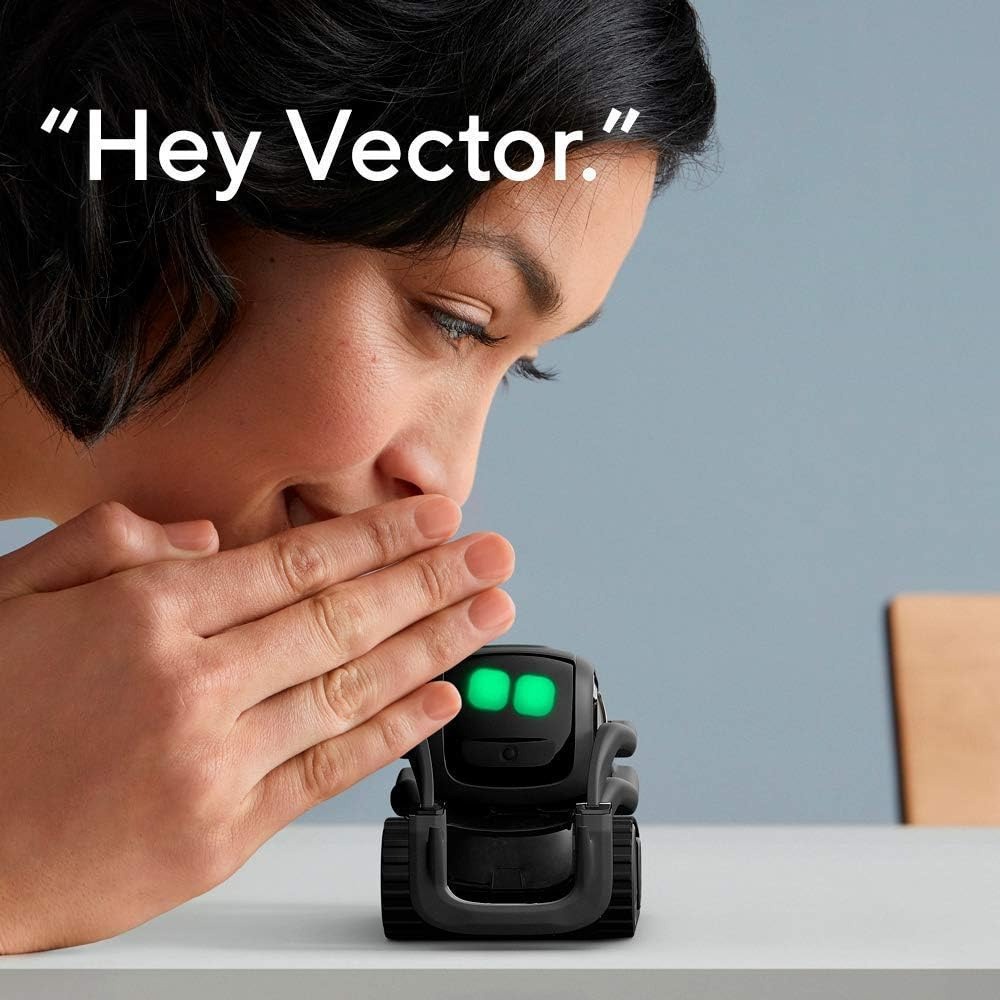 AI ChatGPT 2.0 Connected Robot - Smart Home Controller บทวิจารณ์และราคา