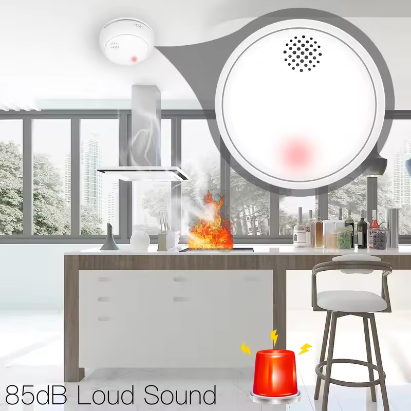 MOES ZigBee Smart Wireless Smo - Smart Home Kitchen บทวิจารณ์และราคา