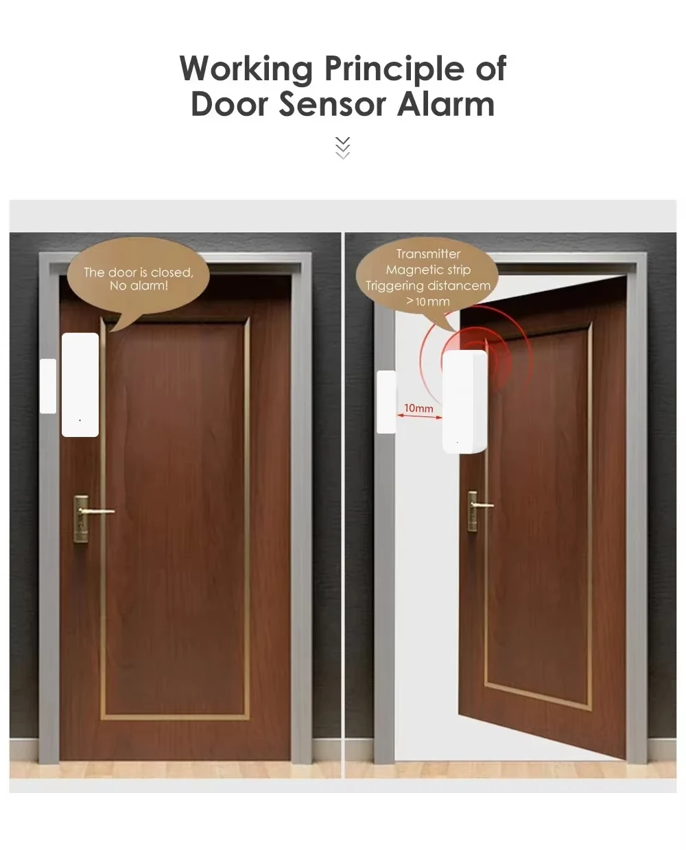 Tuya Zigbee/WiFi Magnetic Door - Smart Home Zigbee Gateway บทวิจารณ์และราคา